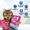 Felight Febreze Süper Beyaz Bentonit Topaklanan Kedi Kumu 6lt